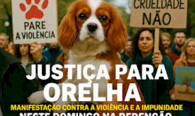 Neste domingo, Porto Alegre se une por justiça para Orelha