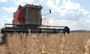 Safra de grãos no Rio Grande do Sul é estimada em 38,9 milhões de toneladas