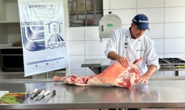 Curso de processamento de carne ovina qualifica produtores em Cruzaltense