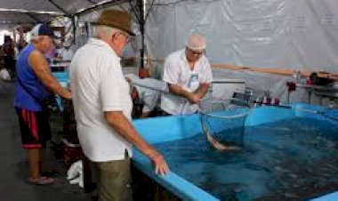 Emater promove feira de Páscoa noturna em Estação para facilitar acesso