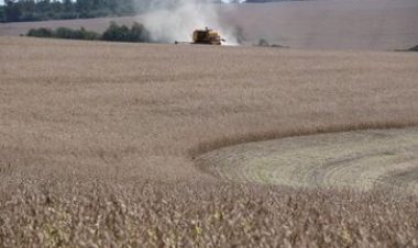 Colheita da soja alcança 10 por cento área cultivada no RS