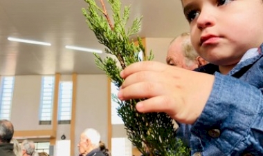 Domingo de Ramos mobiliza paróquias da Diocese de Erexim e abre a Semana Santa
