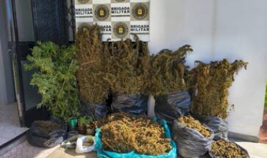 Brigada Militar apreende 30 quilos de maconha em Maximiliano de Almeida