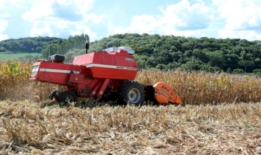 Colheita do milho se encaminha para o final no RS