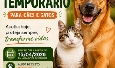 Prefeitura de Getúlio Vargas abre credenciamento para acolhimento temporário de animais vítimas de abandono e maus-tratos