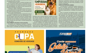 Prefeitura de Getúlio Vargas abre credenciamento para acolhimento temporário de animais vítimas de abandono e maus-tratos
