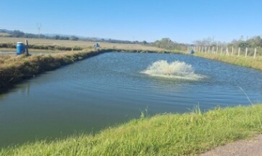 Manejo adequado no inverno é decisivo para manter produção de peixes