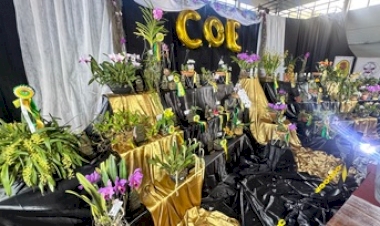 Exposição de Orquídeas celebra o Dia do Orquidófilo em Erechim