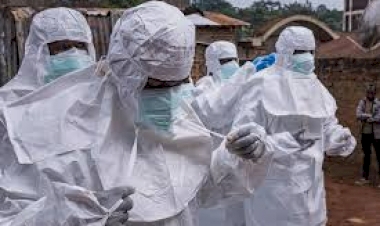 Caso suspeito de ebola é descartado em paciente no Rio Grande do Sul