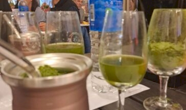 Erva-mate gaúcha é destaque em competição mundial