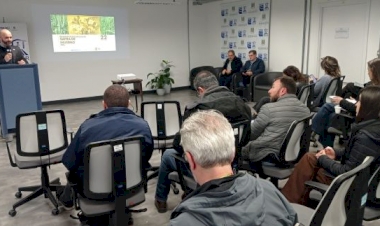 Canola tem área de cultivo duplicada no RS