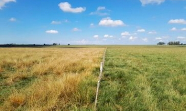 Emater/RS-Ascar contribui para debate nacional sobre Aters voltada à restauração ecológica