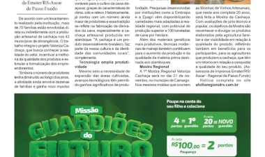Valoriza Cachaça: iniciativa tem foco na tradição, qualidade e formalização na região