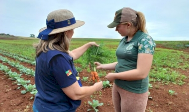 Plano Safra da Agricultura Familiar amplia crédito e Emater/RS-Ascar orienta produtores para acessar recursos