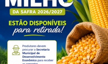 Sementes de milho da safra 2026/2027  estão disponíveis para retirada