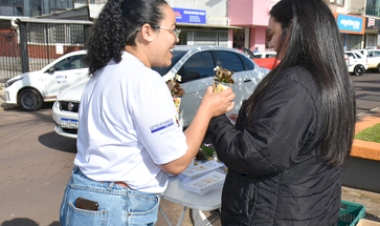 CAPS I Ana Deolinda Fischer realiza pedágio  de conscientização pelo setembro Amarelo