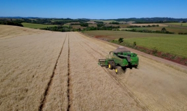 Começa colheita do trigo nas principais regiões produtoras do Rio Grande do Sul 