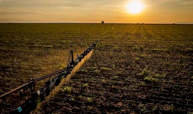 Seguro rural: novas regras ampliam cobertura e proteção ao produtor