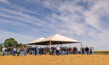 Dia de Campo de Inverno da Cotrijal destaca manejo, culturas e sistemas de produção