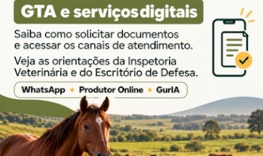 Produtores de Ipiranga do Sul podem solicitar GTA pelo WhatsApp e acessar serviços digitais outubro