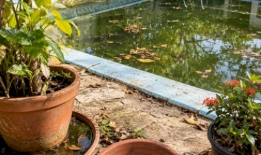 Saúde alerta para prevenção à dengue durante todo o ano em Ipiranga do Sul