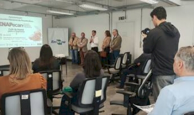 ENAPecan vai reunir cadeia da noz-pecã após safra de recuperação no RS