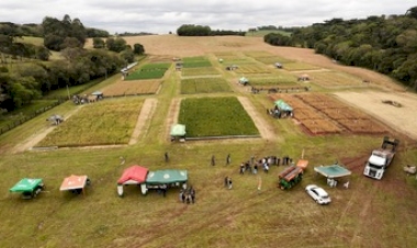 Dia de Campo reúne 400 participantes e destaca inovação e pesquisa agrícola na IDEAU