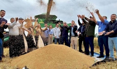 Em Cruz Alta, cerimônia de abertura da colheita de trigo ressalta a força do segmento no RS