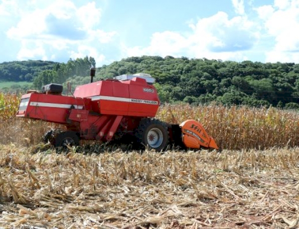 Colheita do milho se encaminha para o final no RS