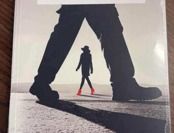 Escritores integrantes da Academia Erechinense de Letras lançam suas obras na Feira