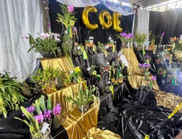Exposição de Orquídeas celebra o Dia do Orquidófilo em Erechim