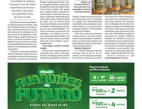 Valoriza Cachaça: iniciativa tem foco na tradição, qualidade e formalização na região