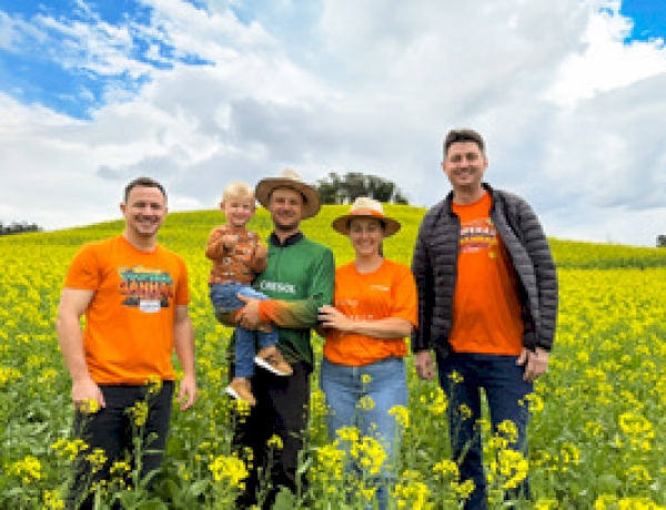 Plano Safra: Canola amplia alternativas de produção no inverno