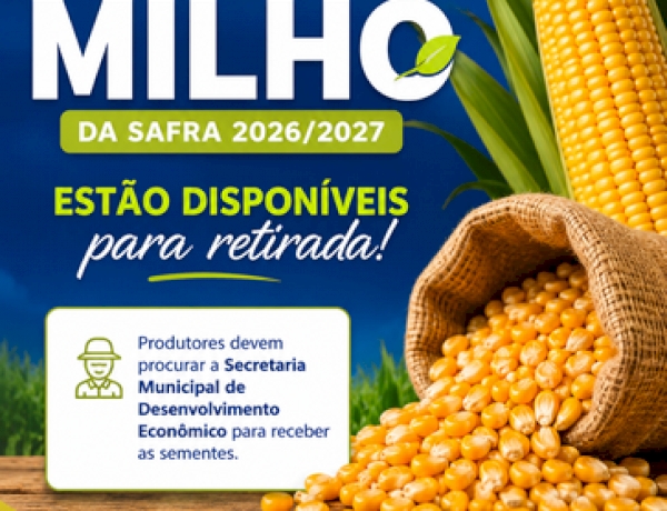 Sementes de milho da safra 2026/2027  estão disponíveis para retirada