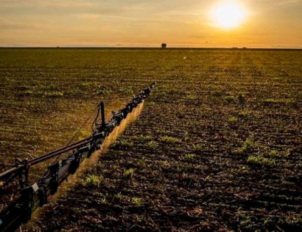 Seguro rural: novas regras ampliam cobertura e proteção ao produtor