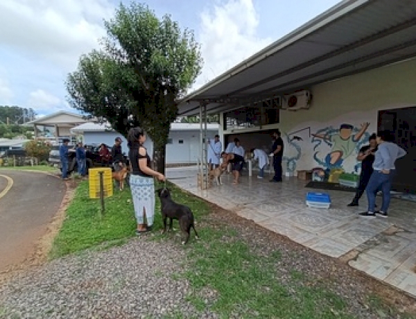 Medicina Veterinária da URI auxilia na imunização de animais em campanha de vacinação 