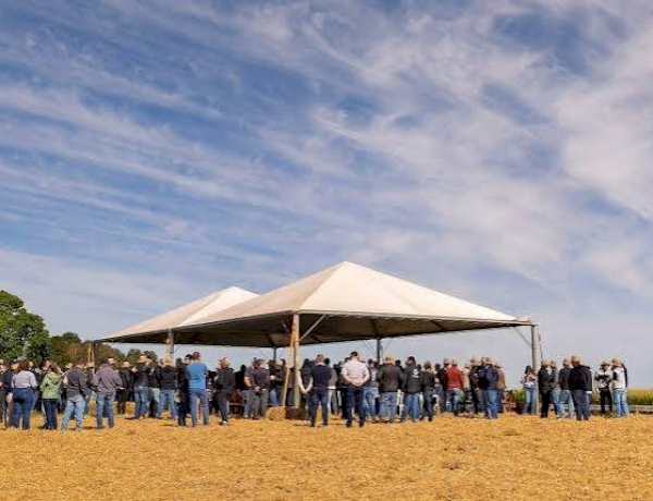 Dia de Campo de Inverno da Cotrijal destaca manejo, culturas e sistemas de produção
