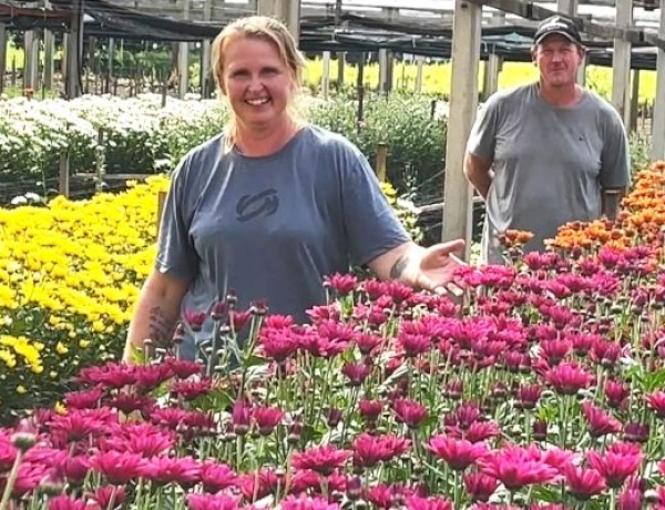 Produtores de Vale Real transformam cultivo de flores em fonte de renda e orgulho no campo