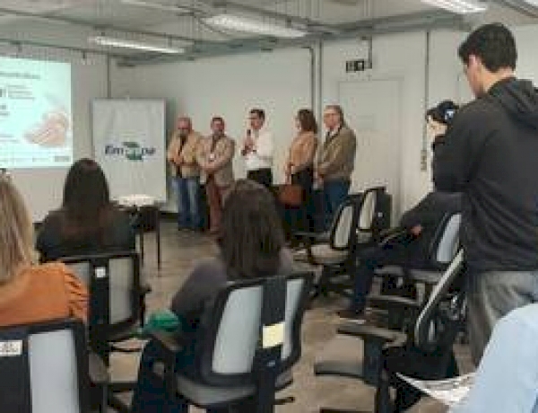 ENAPecan vai reunir cadeia da noz-pecã após safra de recuperação no RS