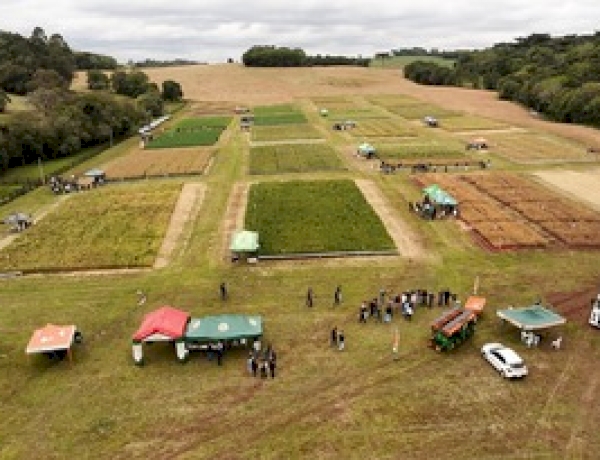 Dia de Campo reúne 400 participantes e destaca inovação e pesquisa agrícola na IDEAU
