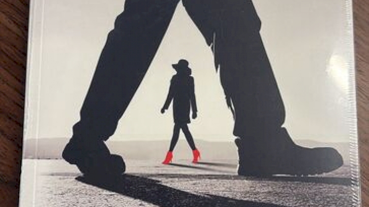 Escritores integrantes da Academia Erechinense de Letras lançam suas obras na Feira