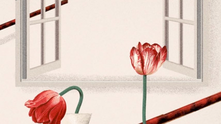 Não me pergunte jamais ,por Natalia Ginzburg. Dica de leitura da semana.