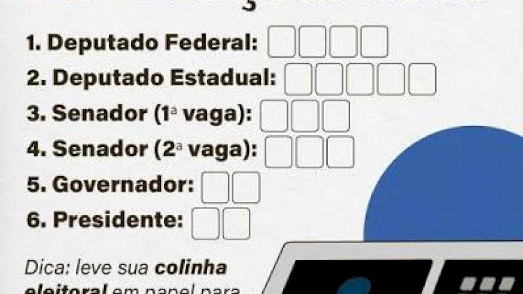 Eleições 2026: saiba o que pode e o que não pode no dia da votação