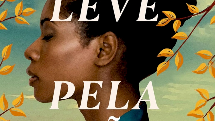 Me leve pela mão :, por Dolen Perkins-Valdez. Dica de leitura da semana