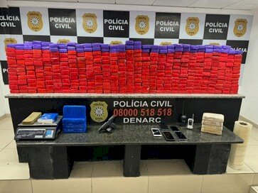 Polícia Civil apreende mais de meio milhão de reais em entorpecentes