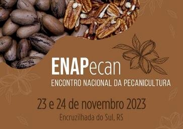 Encontro Nacional da Pecanicultura busca fortalecimento do setor