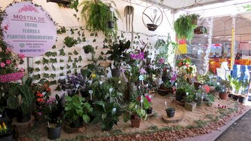 Emater na Feira de Três Arroios