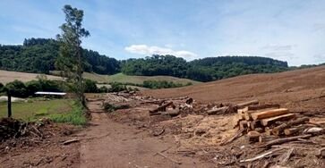 Batalhão Ambiental flagra 85 mil metros quadrados de desmatamento