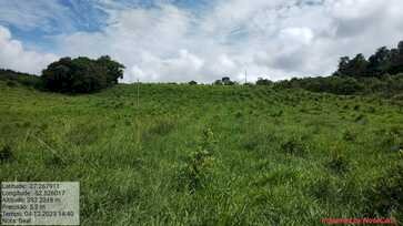 Parceria estratégica irá estudar fluxo de carbono da erva-mate no Rio Grande do Sul