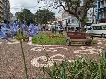 Renovação floral transforma canteiros em Erechim